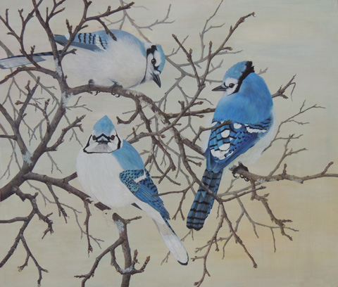 Sketch Of A Blue Jay On A Tree Limb – Carol's Drawing Blog